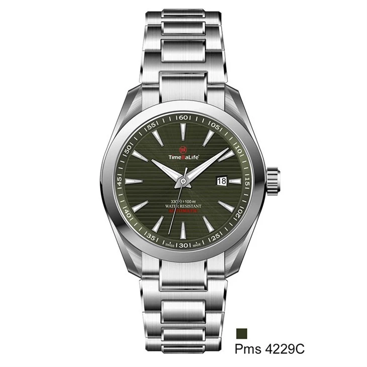 Luminous Men's Mechanical Watch